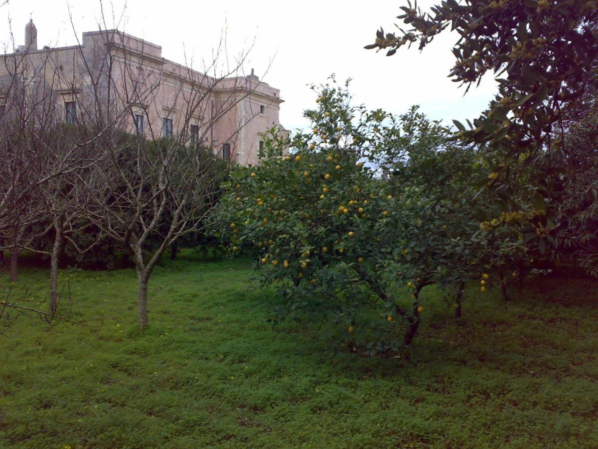 Aricelle Speziali Bed and Breakfast Specchia Gallone Eksteriør billede